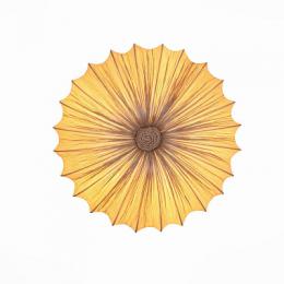 Изображение продукта Потолочный светильник ST Luce Tessile 